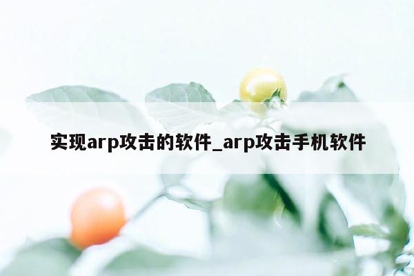 实现arp攻击的软件_arp攻击手机软件