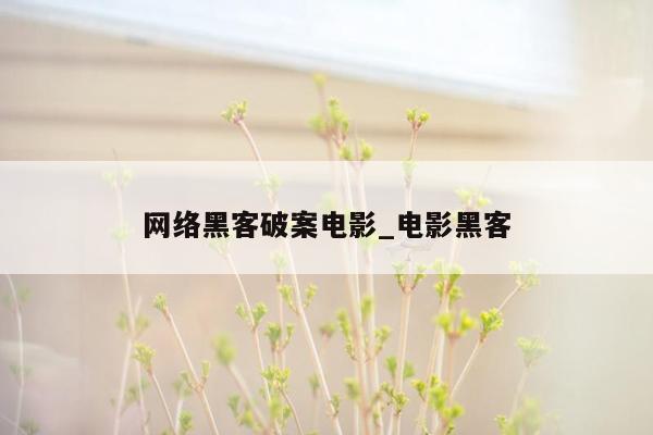 网络黑客破案电影_电影黑客