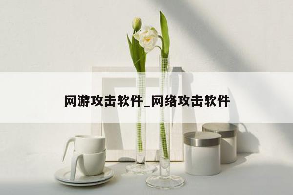 网游攻击软件_网络攻击软件