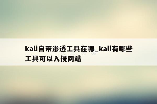 kali自带渗透工具在哪_kali有哪些工具可以入侵网站