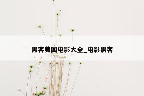 黑客美国电影大全_电影黑客