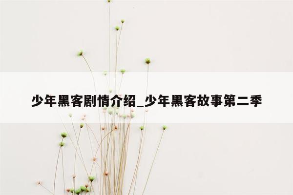 少年黑客剧情介绍_少年黑客故事第二季