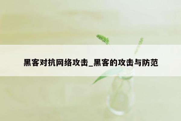 黑客对抗网络攻击_黑客的攻击与防范