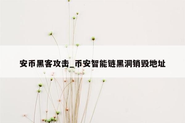 安币黑客攻击_币安智能链黑洞销毁地址