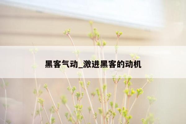 黑客气动_激进黑客的动机