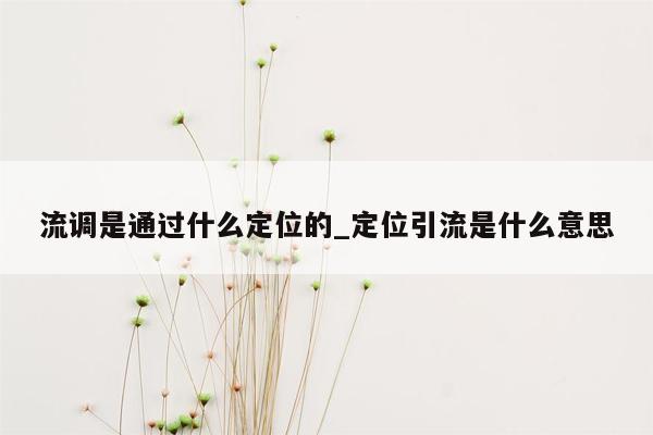 流调是通过什么定位的_定位引流是什么意思