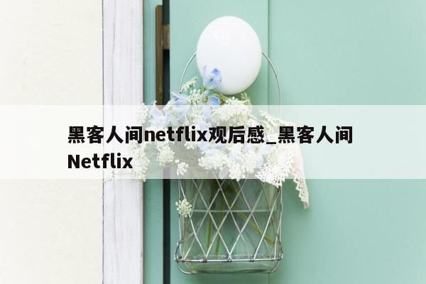 黑客人间netflix观后感_黑客人间 Netflix