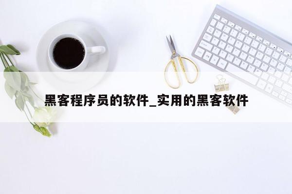 黑客程序员的软件_实用的黑客软件