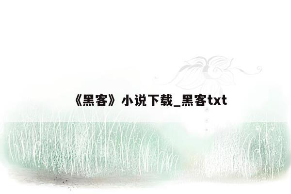 《黑客》小说下载_黑客txt