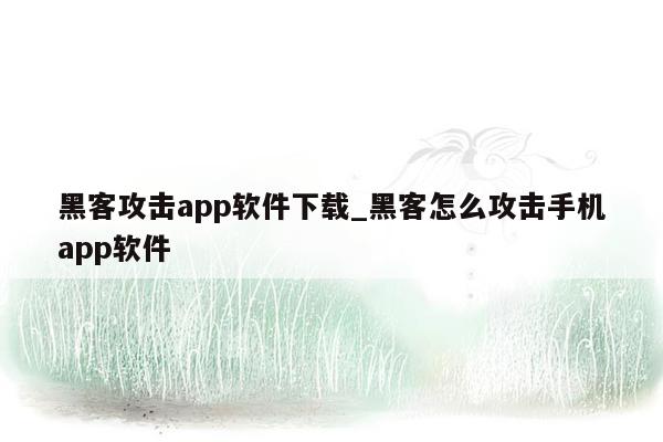 黑客攻击app软件下载_黑客怎么攻击手机app软件