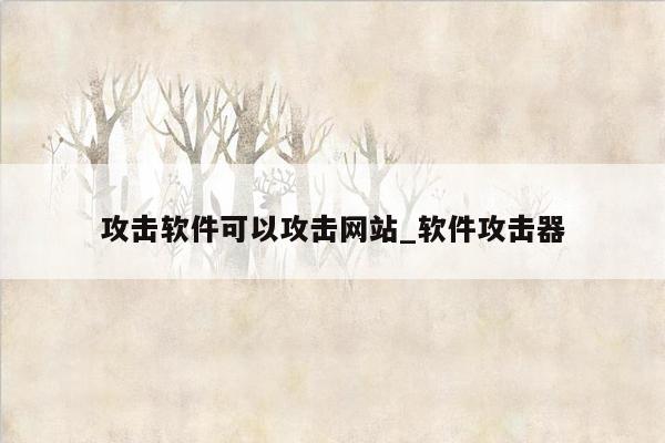 攻击软件可以攻击网站_软件攻击器