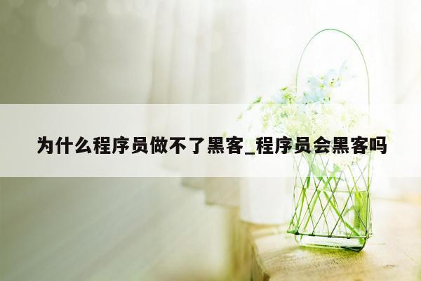 为什么程序员做不了黑客_程序员会黑客吗