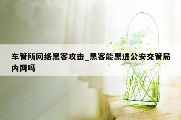 车管所网络黑客攻击_黑客能黑进公安交管局内网吗