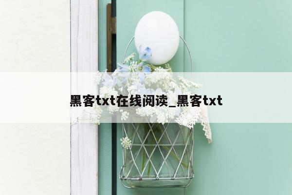 黑客txt在线阅读_黑客txt