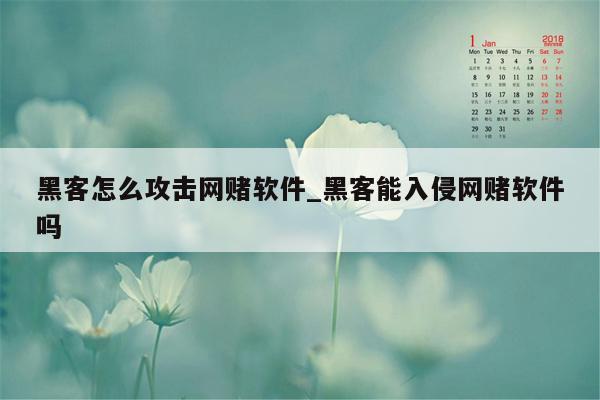 黑客怎么攻击网赌软件_黑客能入侵网赌软件吗