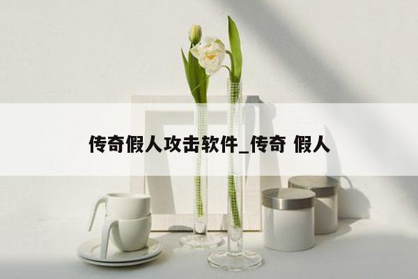 传奇假人攻击软件_传奇 假人