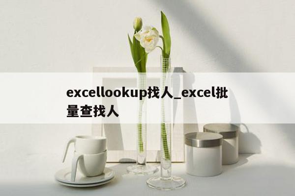 excellookup找人_excel批量查找人