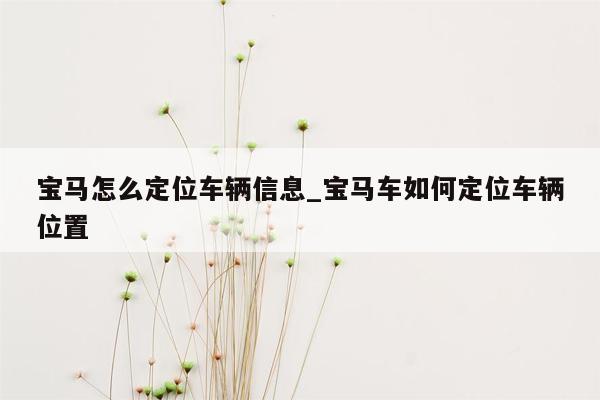 宝马怎么定位车辆信息_宝马车如何定位车辆位置