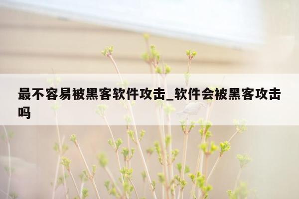 最不容易被黑客软件攻击_软件会被黑客攻击吗