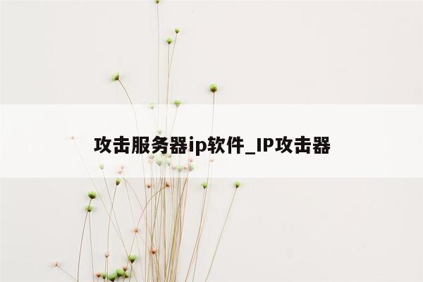 攻击服务器ip软件_IP攻击器