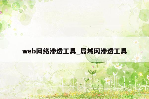 web网络渗透工具_局域网渗透工具