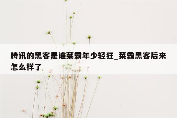 腾讯的黑客是谁菜霸年少轻狂_菜霸黑客后来怎么样了