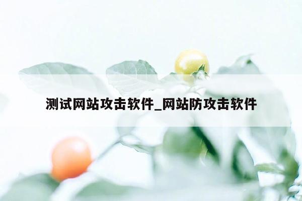 测试网站攻击软件_网站防攻击软件