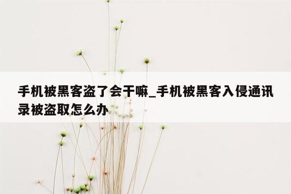 手机被黑客盗了会干嘛_手机被黑客入侵通讯录被盗取怎么办