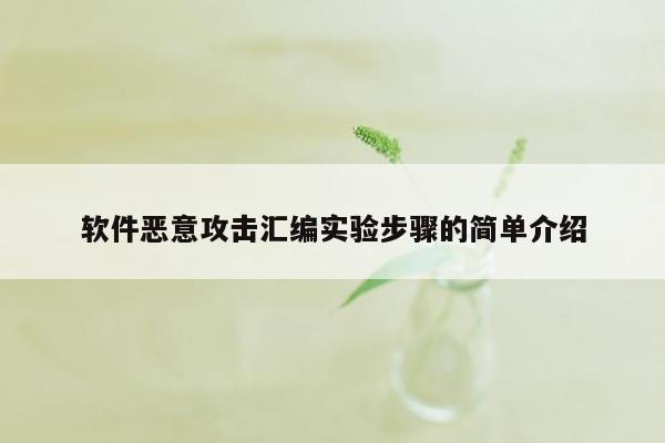 软件恶意攻击汇编实验步骤的简单介绍