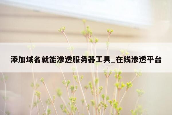 添加域名就能渗透服务器工具_在线渗透平台