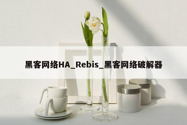 黑客网络HA_Rebis_黑客网络破解器