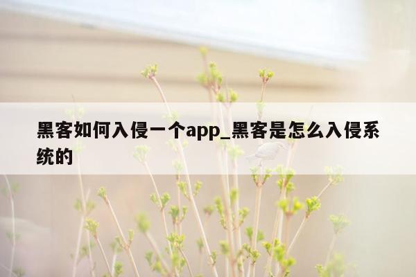 黑客如何入侵一个app_黑客是怎么入侵系统的