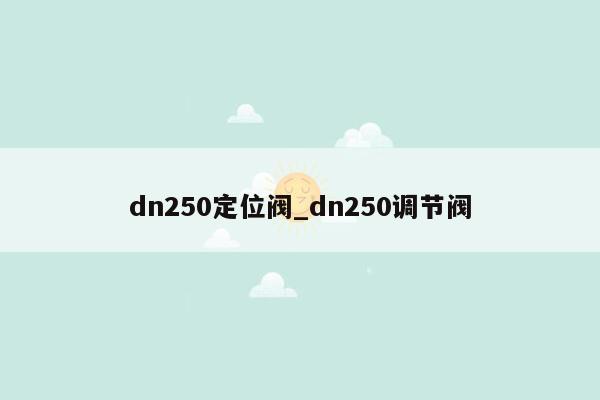 dn250定位阀_dn250调节阀