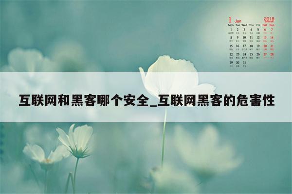 互联网和黑客哪个安全_互联网黑客的危害性