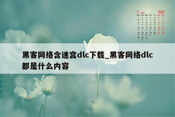 黑客网络含迷宫dlc下载_黑客网络dlc都是什么内容