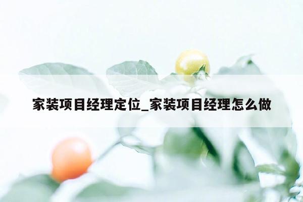 家装项目经理定位_家装项目经理怎么做