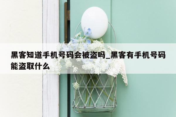 黑客知道手机号码会被盗吗_黑客有手机号码能盗取什么