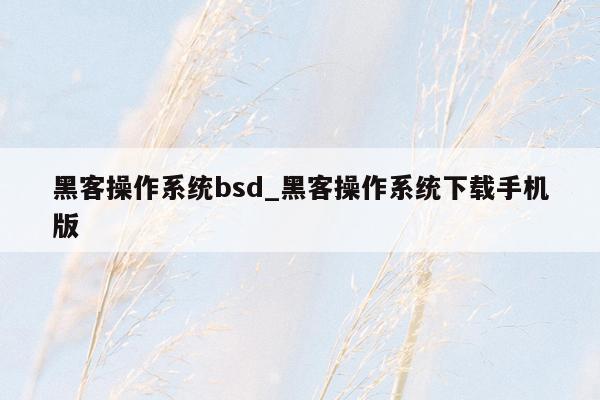 黑客操作系统bsd_黑客操作系统下载手机版