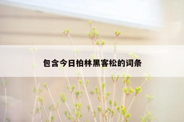 包含今日柏林黑客松的词条