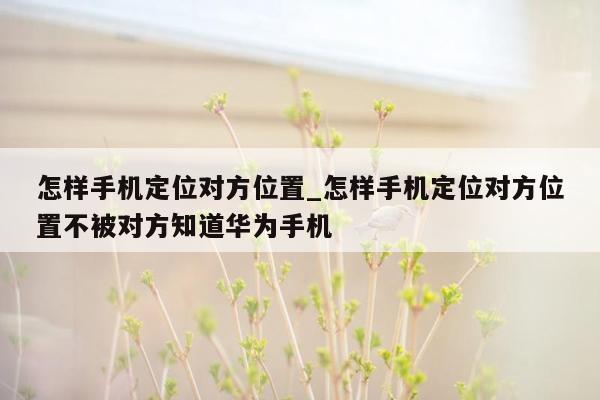 怎样手机定位对方位置_怎样手机定位对方位置不被对方知道华为手机