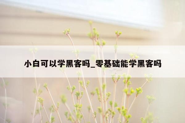 小白可以学黑客吗_零基础能学黑客吗