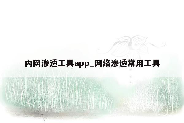 内网渗透工具app_网络渗透常用工具