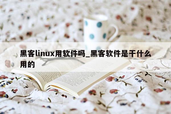 黑客linux用软件吗_黑客软件是干什么用的