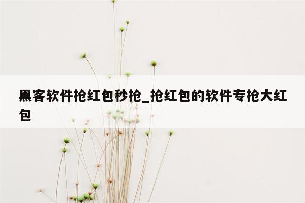 黑客软件抢红包秒抢_抢红包的软件专抢大红包