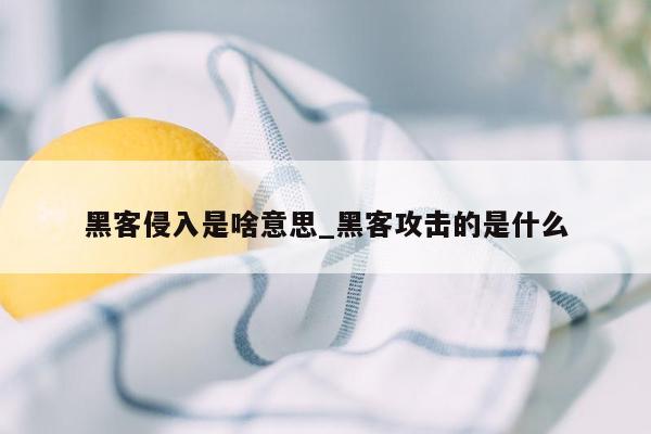 黑客侵入是啥意思_黑客攻击的是什么