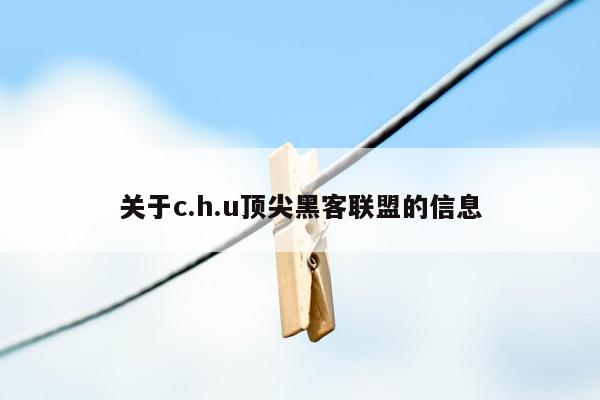 关于c.h.u顶尖黑客联盟的信息