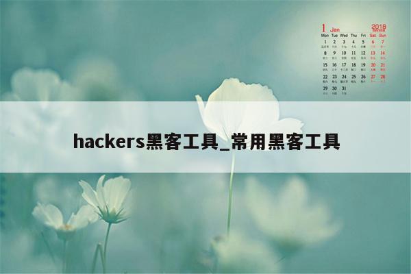 hackers黑客工具_常用黑客工具