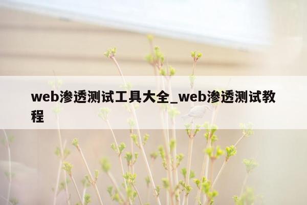 web渗透测试工具大全_web渗透测试教程