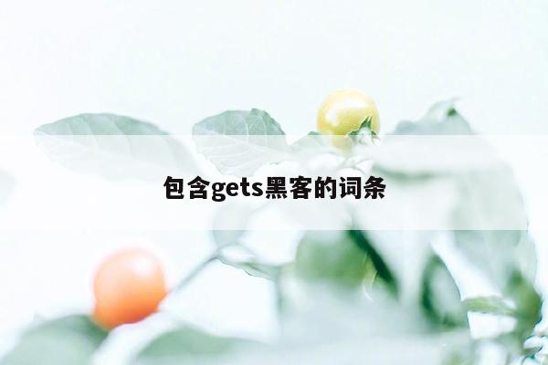 包含gets黑客的词条