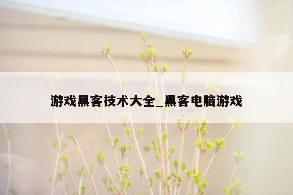 游戏黑客技术大全_黑客电脑游戏